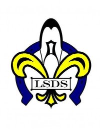 LSDS Class Programming Survey
